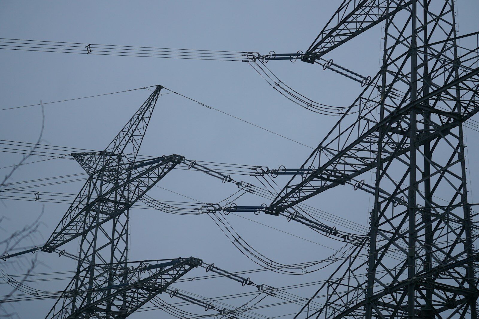 a bird sitting on top of a power line