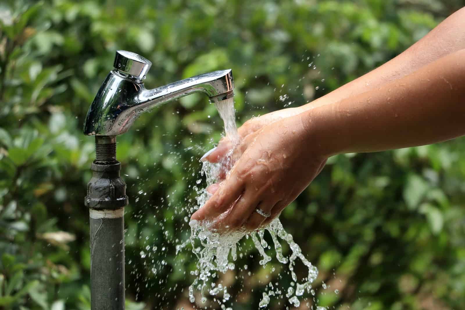 person pouring water on faucet