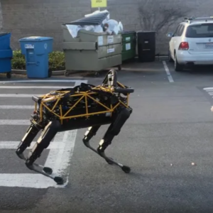 where are the buddhist robots 01