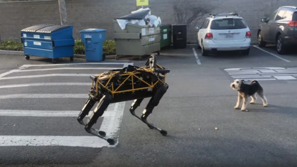 where are the buddhist robots 01